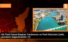 AK Parti Genel Başkan Yardımcısı ve Parti Sözcüsü Çelik, gündemi değerlendirdi: (1)