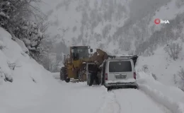 Bitlis köylerinde karla mücadele çalışması