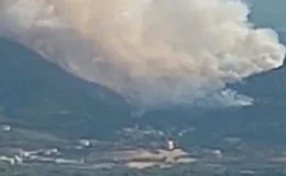 Manisa’da Orman Yangını Çıktı