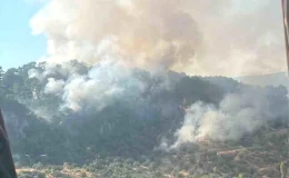 Çanakkale’de Orman Yangını Kontrol Altına Alındı
