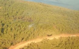 Urla’da çıkan orman yangını 2 saatte kontrol altına alındı