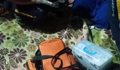 Piknikte Karnına Şiş Saplanan Kadın Yaralandı