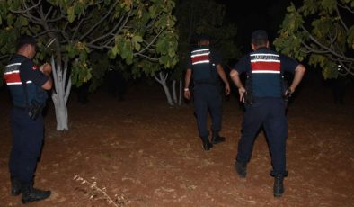 Aydın’da jandarmadan incir ve zeytin hırsızlığına karşı uygulama