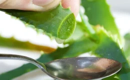 Aloe VeraFaydaları Nelerdir? Aloe Vera Çiçeği Ve Bitkisi Ne İşe Yarar, Yağı Nelerde Kullanılır?