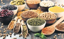 Şifa deposu kurubaklagiller