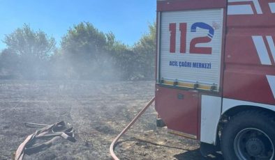 Samsun’da ormanlık alanda yangın çıktı