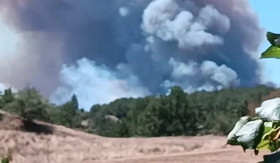 Bolu’da 2 ilçe arasında orman yangını çıktı: Dumanlar gökyüzünü kapladı!