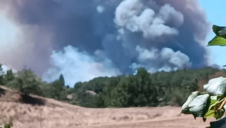 Bolu’da 2 ilçe arasında orman yangını çıktı: Dumanlar gökyüzünü kapladı!