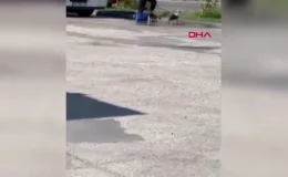 Kaynayan bulgur kazanına düştü! Ağır yanıkları olan adam tedavi altında