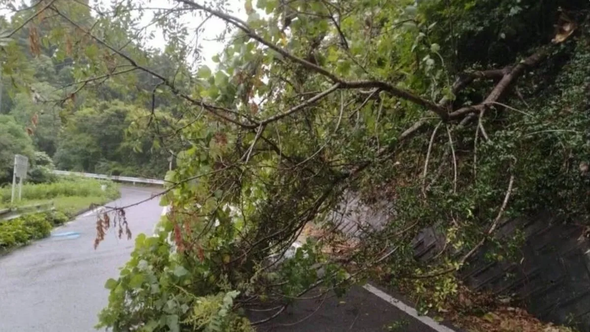 Japonya’yı Ampil Tayfunu vurdu: 990 sefer iptal oldu bin 550 evin elektriği yok!