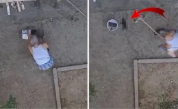 Dehşete düşüren olay! Yavru kedileri fırça sapıyla defalarca vurarak öldürdü